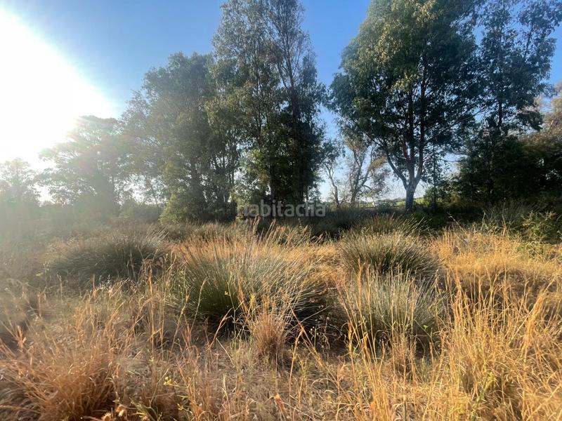 Foto 13798202-7e49-45b8-87de-1fcf5ccba782. Haus in Ayamonte ciudad Ayamonte