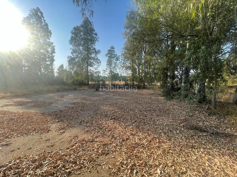 Foto 30afbc7f-3ca4-400d-8ea4-72e706584082. Haus in Ayamonte ciudad Ayamonte