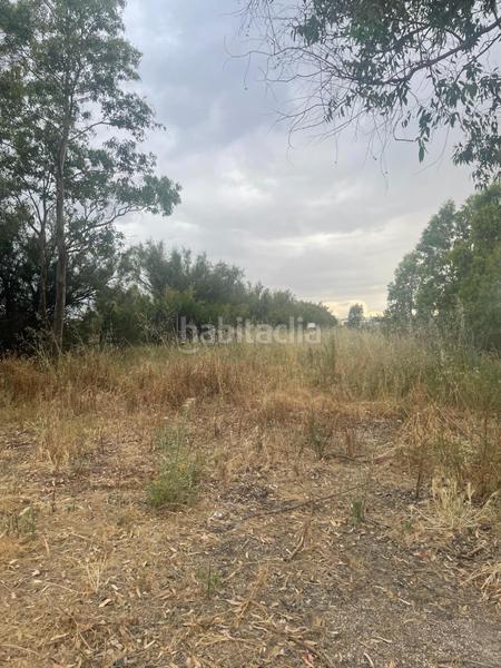 Foto 4b398778-cb95-418b-9f58-6959435b8fce. Haus in Ayamonte ciudad Ayamonte