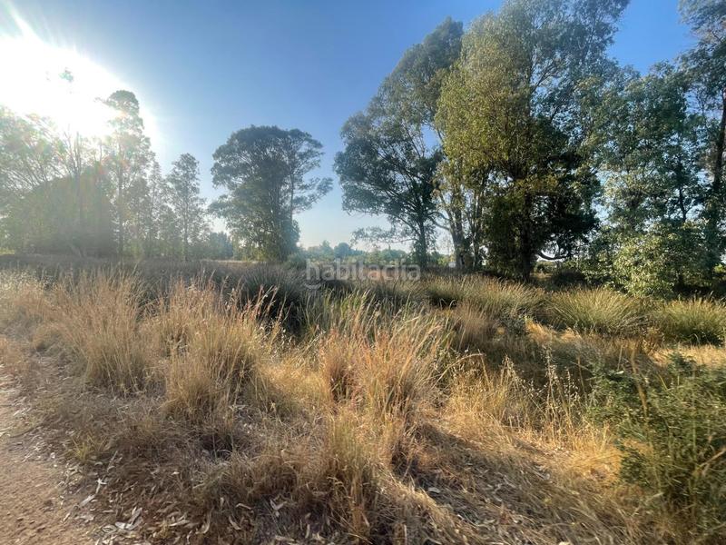 Foto 850c46dc-cdc4-4b07-b880-d6c362d7f1e0. Haus in Ayamonte ciudad Ayamonte