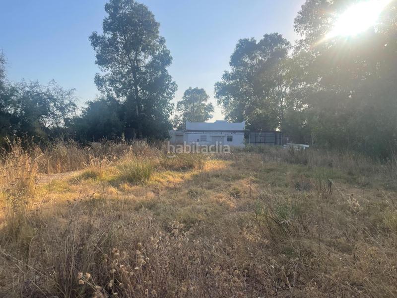 Foto cc673a7d-1033-4e28-87cf-554a169f7fd6. Haus in Ayamonte ciudad Ayamonte