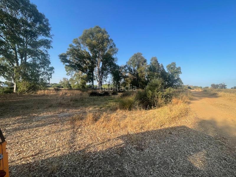 Foto db76ea12-c2de-4c04-b78f-a87b35c9c00d. Haus in Ayamonte ciudad Ayamonte