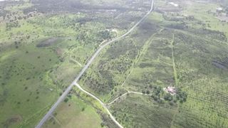 Finca rústica a Villablanca. Finca rustica con todos los servicios y acceso a49  6 hectareas