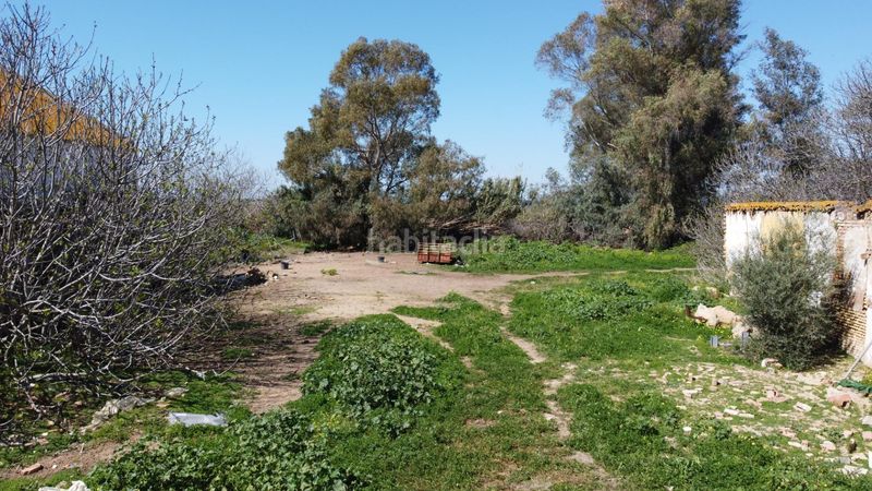 Foto eafc3a80-327b-4a07-b4eb-b24381c64c65. Terreny residencial a El Carmen - Cardeñas Huelva
