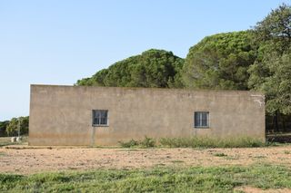 Mas  Camino diseminados. Finca rústica en villablanca