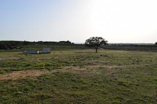 Bauernhof  Camino diseminados. Finca rústica en villablanca