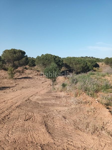 Foto e4e2f271-d47e-480e-bf30-ff036d58b463. Terreny residencial a Costa Esuri Ayamonte