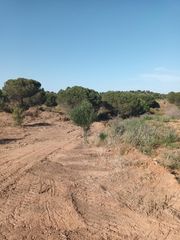 Terreny residencial  Calle puente esuri. Parcela en venta en av. rosalía de castro, costa esuri