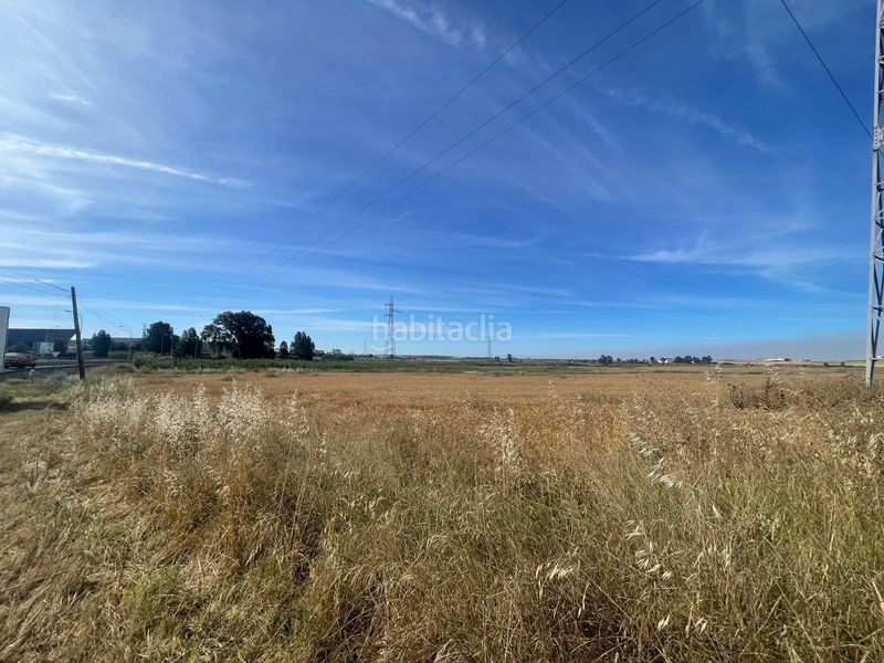 Foto 0e554afc-1151-45c7-b30c-37bf17427d9a. Finca rústica a La Hispanidad - Verdeluz Huelva