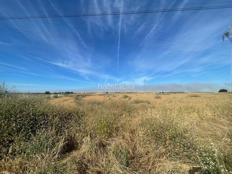 Foto 65cad6e7-bf8b-481b-82da-77d95b4fe2b8. Finca rústica a La Hispanidad - Verdeluz Huelva