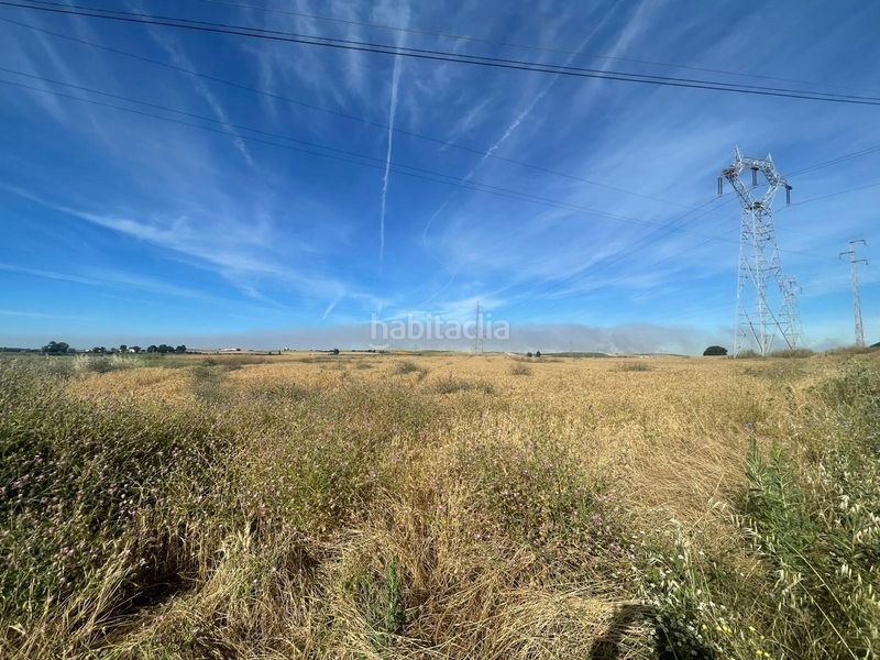 Foto 8461f645-5aab-4614-9dd1-cd312190a211. Finca rústica a La Hispanidad - Verdeluz Huelva
