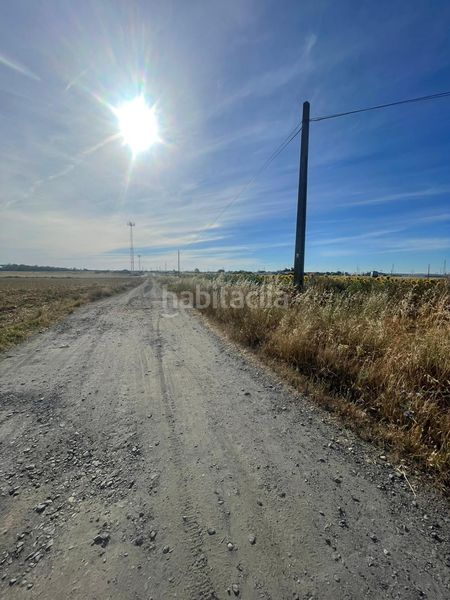 Foto 90c8e226-ba7a-493d-ad4a-27881da57771. Finca rústica a La Hispanidad - Verdeluz Huelva