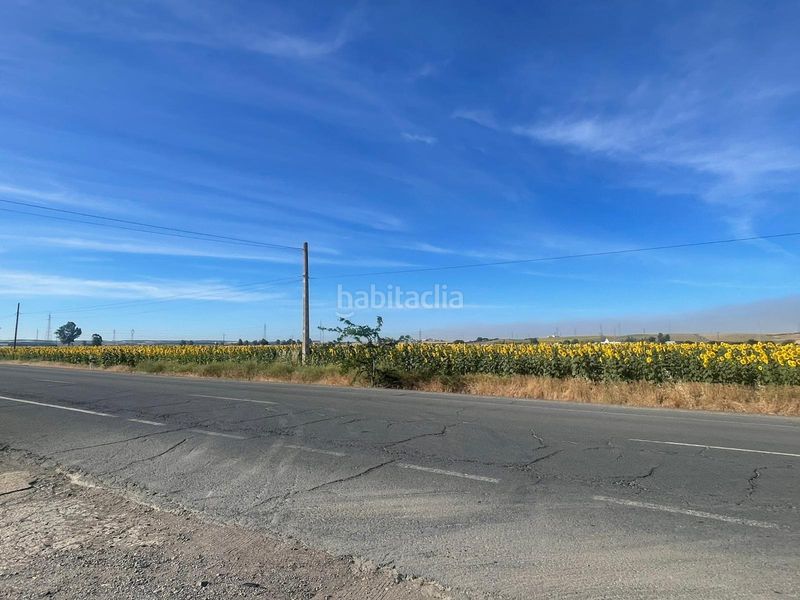 Foto ce394a90-81b4-4c23-b666-36e7942e8864. Finca rústica a La Hispanidad - Verdeluz Huelva