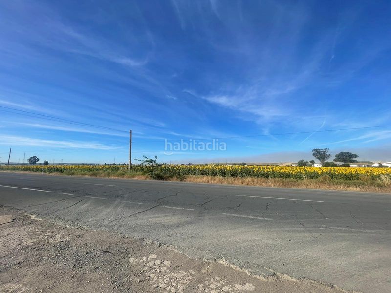 Foto de3bd044-d551-4226-a9fa-99f6543782ab. Finca rústica a La Hispanidad - Verdeluz Huelva