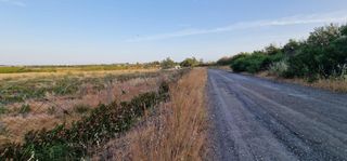 Rural plot  Calle vega la. Finca rústica de regadío de 6 hectáreas en lepe  excelente acces