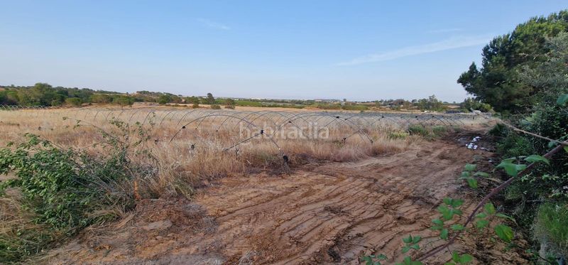 Foto 56c727eb-9da6-4bf8-aa59-135e51991897. Finca rústica a Lepe