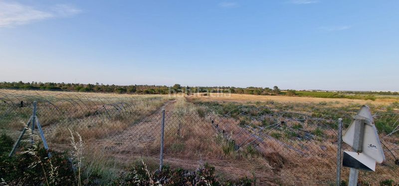 Foto 5968f6d3-1cff-434a-8c2e-fe81d898e7eb. Finca rústica a Lepe