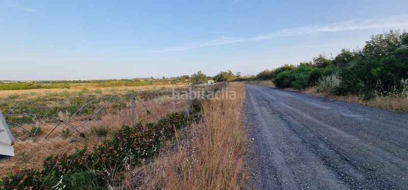 Foto 9b14370a-8bfd-41ac-a622-930ce8b30384. Finca rústica a Lepe