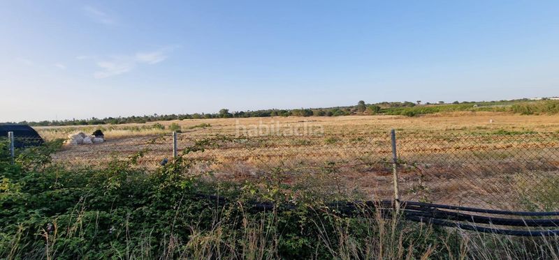 Foto d9c18579-dded-4851-8eb2-c1312a3bc5e3. Finca rústica a Lepe