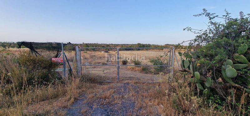 Foto ddb74168-21e2-4818-817c-44235b15fdce. Finca rústica a Lepe