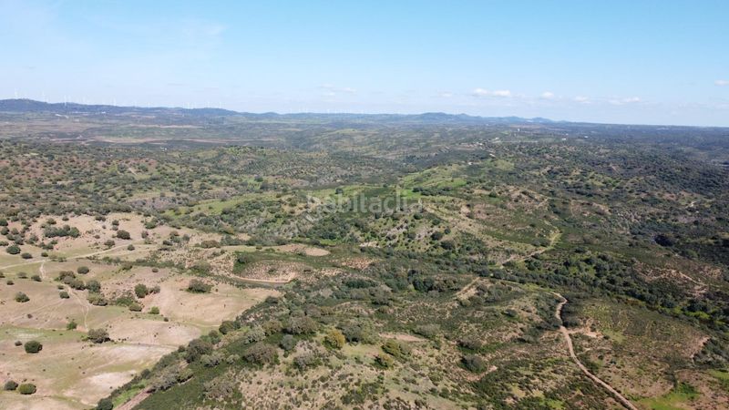 Foto 5a0f6791-df95-4baa-b869-9f7909d5fd61. Finca rústica a Sanlúcar de Guadiana