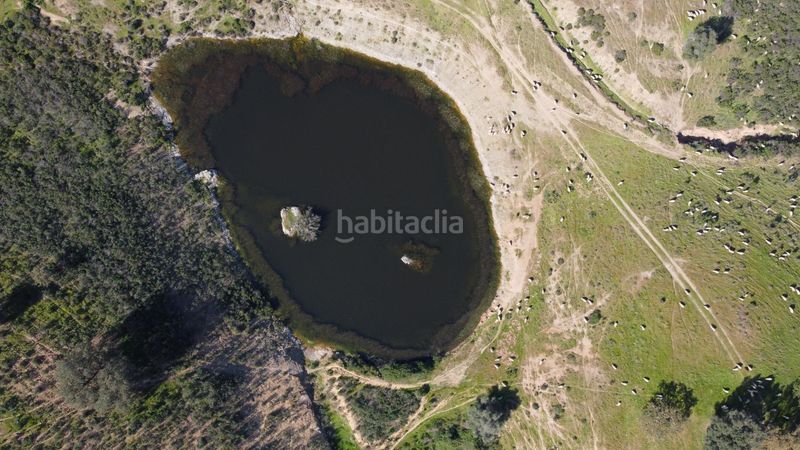 Foto c78aecc2-9751-45b2-91c2-8b6d254abd5e. Finca rústica a Sanlúcar de Guadiana