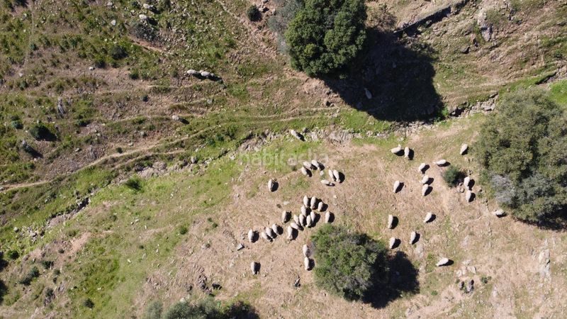 Foto f92f0c8c-8488-4664-812e-6c32e0e03553. Finca rústica a Sanlúcar de Guadiana