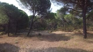 Rural plot  Diseminados. Terreno rústico en villablanca valdearcos