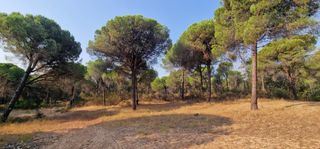 Finca rústica  Diseminados. Terreno rústico en villablanca valdearcos