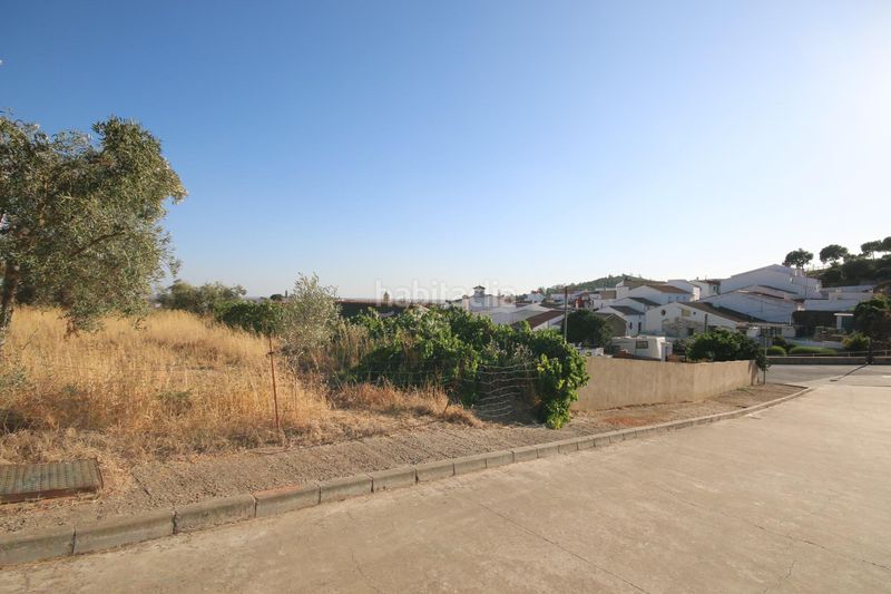 Foto c7f907d9-7d7a-459b-823a-84ee0ea3840b. Xalet amb aparcament a Almendro (El)