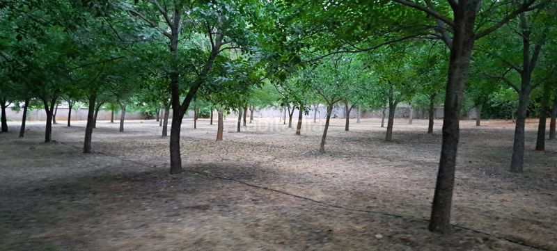 Foto 0ccf28d7-b5aa-4ea5-879a-ef415003d241. Terreny residencial a Humanes