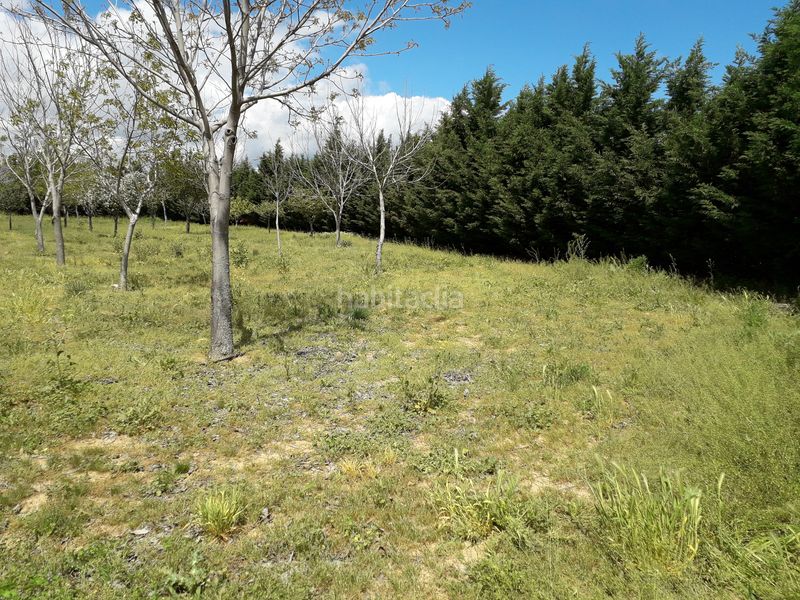 Foto 20ca3122-c45e-4af3-8050-7ca36b9899bb. Terreny residencial a Humanes