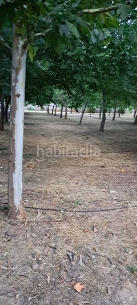 Foto 3730e422-4583-4b08-aee4-359c402f0da2. Terreny residencial a Humanes