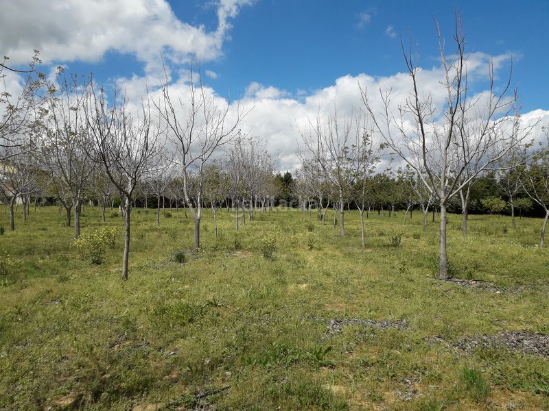 Foto a40519a4-639e-4f5d-984f-8646fc9da46b. Terreny residencial a Humanes