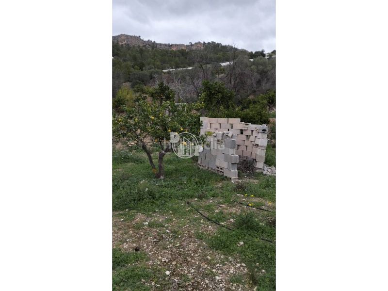 Foto 140c5da8-bf8e-426d-9c74-ac9157c1d486. Finca rústica a Bolulla