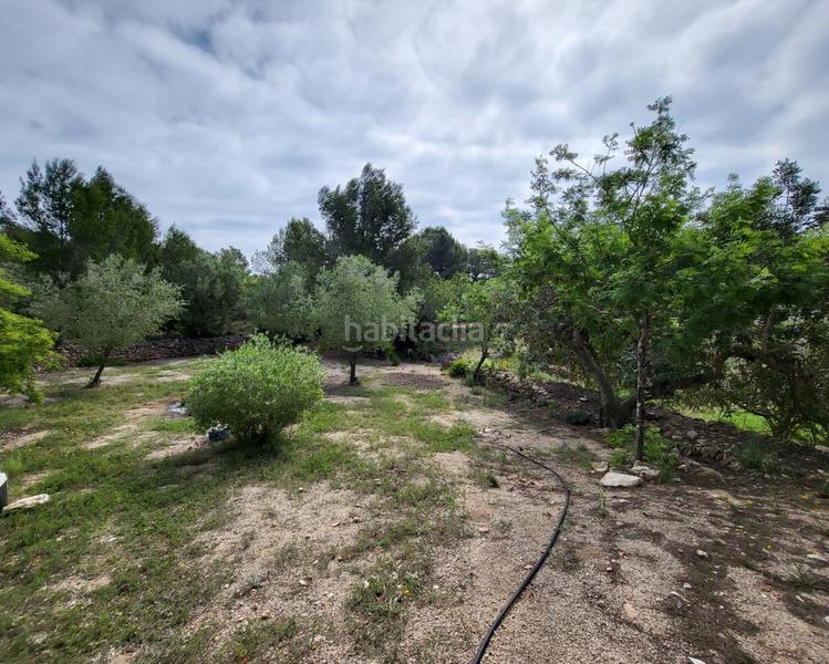 Foto 81e84249-7b8e-4845-80af-c65d745390a0. Masia a L´Ametlla de Mar Ametlla de Mar (L´)