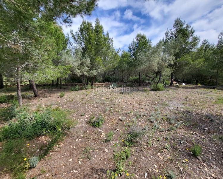 Foto f2af934e-d34c-45da-b36c-77125021c801. Masia a L´Ametlla de Mar Ametlla de Mar (L´)