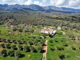 Bauernhof in Perelló (El). Magnífica y exclusiva finca de 3 has con chalet de 230 m2, vista