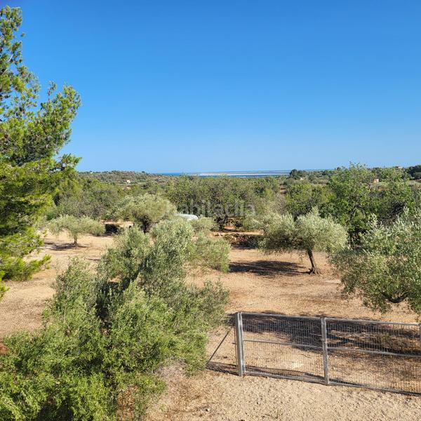 Foto 037e290e-b5b6-4f0e-a07b-bbec61f488e8. Masia amb piscina a Perelló (El)