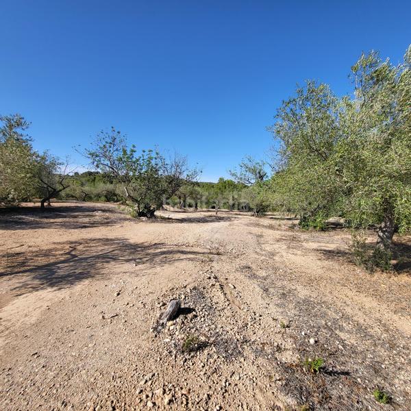 Foto 187c3492-a59c-4612-a6ff-4f795cf2bd33. Masia amb piscina a Perelló (El)