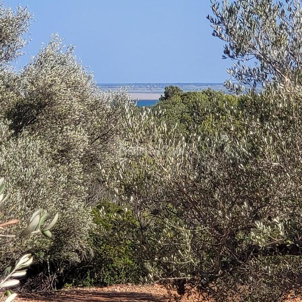 Foto 1be850db-d3e3-496d-8aee-af29c79814d1. Masia amb piscina a Perelló (El)