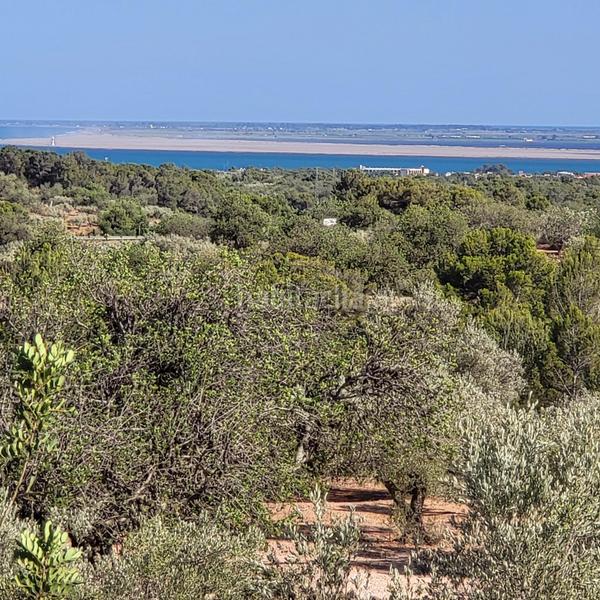 Foto 3bf7e2be-c5c4-493a-aeb8-ff3bc129fda4. Masia amb piscina a Perelló (El)