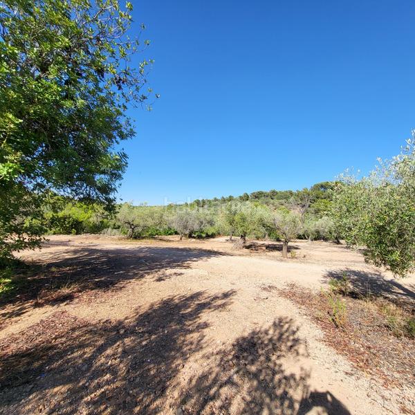 Foto 440fdc7e-4359-4d7f-b1f8-98a183ad03df. Masia amb piscina a Perelló (El)