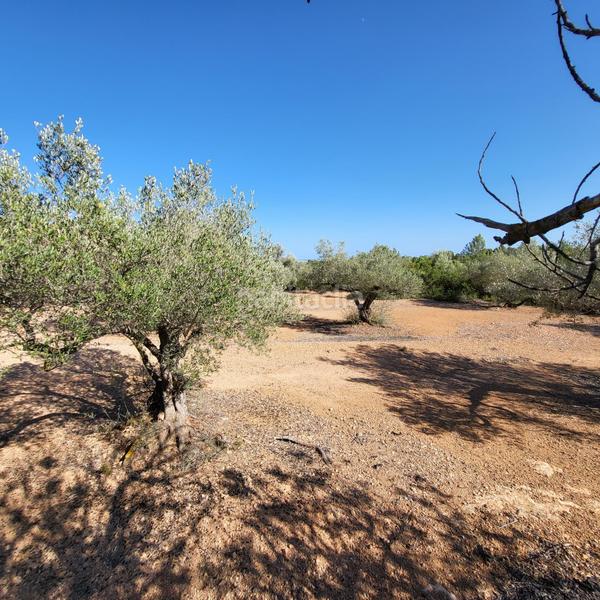 Foto 488a389c-fc18-434f-bd98-a40646e2f874. Masia amb piscina a Perelló (El)