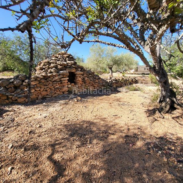 Foto 70ff8516-f3ca-48e3-beb3-d597ed6443b2. Masia amb piscina a Perelló (El)