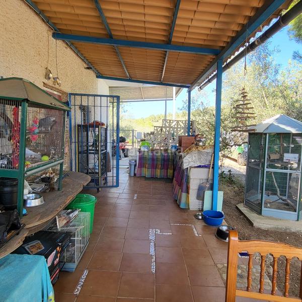 Foto 7c093306-8a69-4d5c-9efb-a8c7b7df058b. Masia amb piscina a Perelló (El)