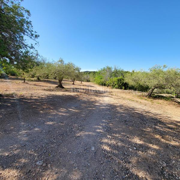 Foto 8031e9cb-9afc-45bb-ba4f-f6abbbd4cd0e. Masia amb piscina a Perelló (El)