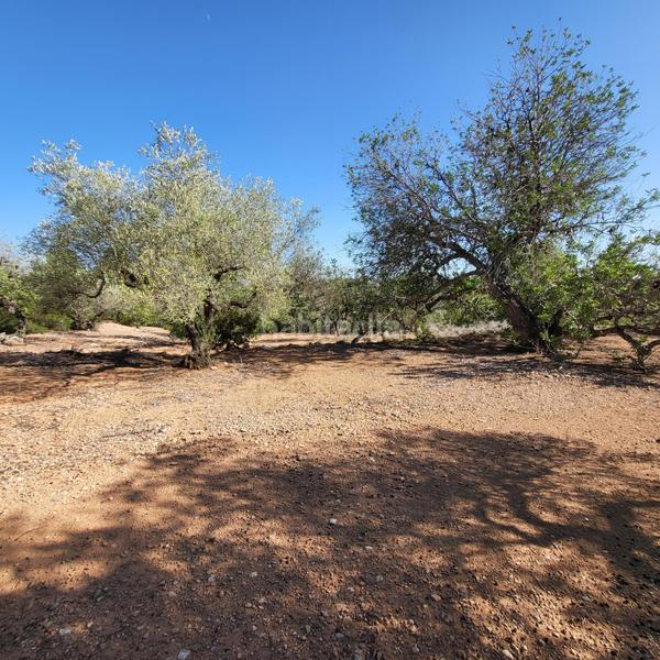 Foto 990cf662-f51e-4985-a4bc-18c8de60b713. Masia amb piscina a Perelló (El)