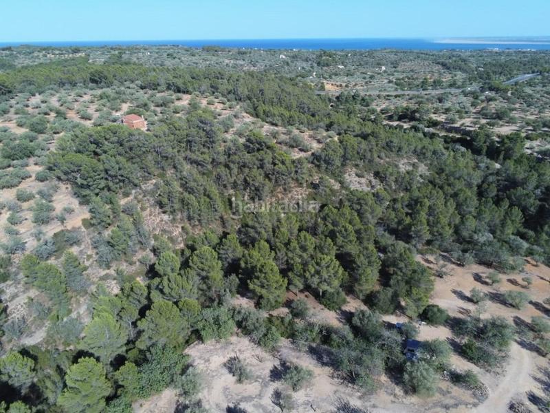 Foto a9163325-a2c5-42d5-947e-dcad879258ec. Masia amb piscina a Perelló (El)