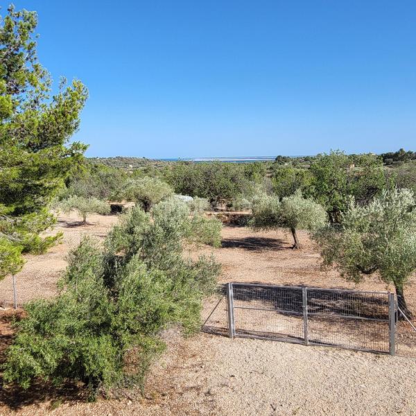 Foto bafb4d73-3c3c-4008-a845-2a7e4624e814. Masia amb piscina a Perelló (El)